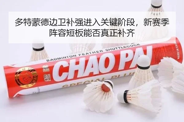 多特蒙德边卫补强进入关键阶段，新赛季阵容短板能否真正补齐 - Tencent Sports